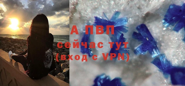 прущие крисы Инта