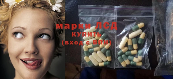 МДПВ Инсар