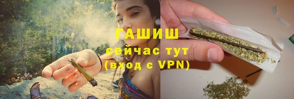 прущие грибы Каменка