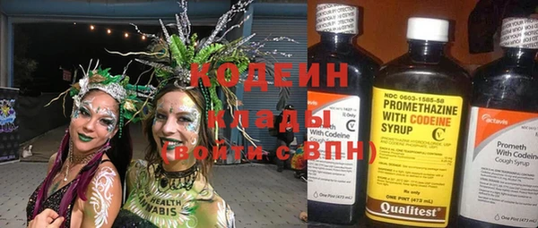 прущие грибы Каменка