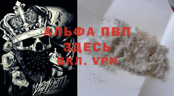 прущие крисы Инта