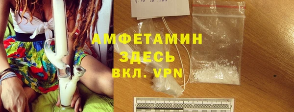 МДПВ Инсар