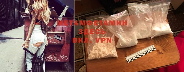 прущие грибы Каменка