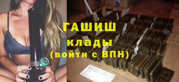 прущие грибы Каменка