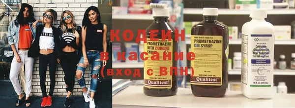прущие грибы Каменка
