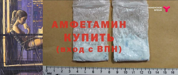 прущие крисы Инта