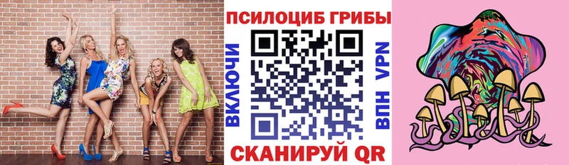 Галлюциногенные грибы Psilocybe  Купить где  Катав-Ивановск 